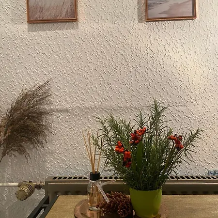 Alte Schmiede In Der Altstadt Von Homestay
